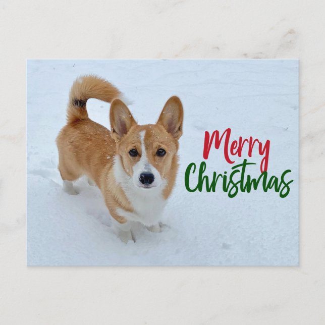 Frohe Weihnachten Corgi Foto in Snow Beautiful (Vorderseite)