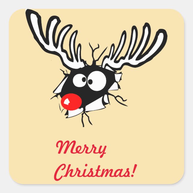 Frohe Weihnachten! Crazy Red Nosed Reindeer Quadratischer Aufkleber (Vorderseite)