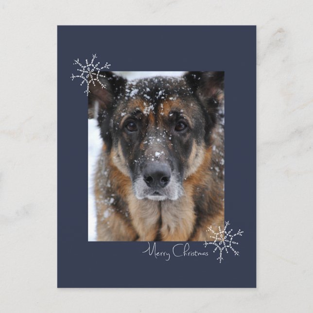 Frohe Weihnachten Deutscher Schäferhund in Schneek (Vorderseite)