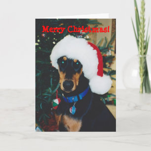 Frohe Weihnachten! Doberman Greeting Card Feiertagskarte