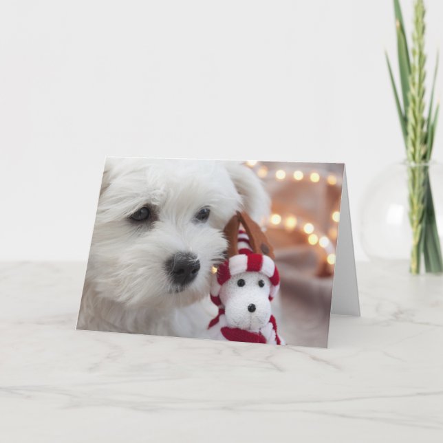 Frohe Weihnachten! Feiertagskarte (Vorderseite)