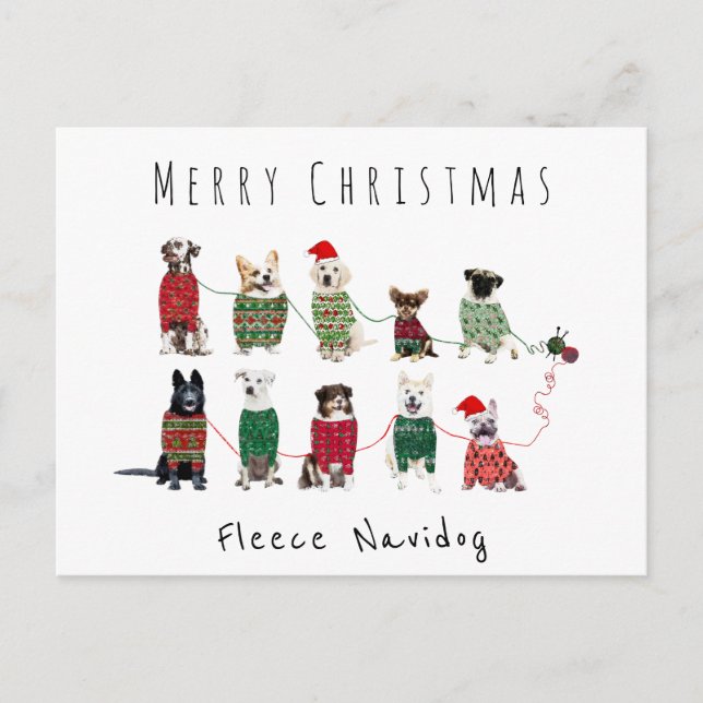 Frohe Weihnachten Fleece Seehunde Strickspringer Postkarte (Vorderseite)