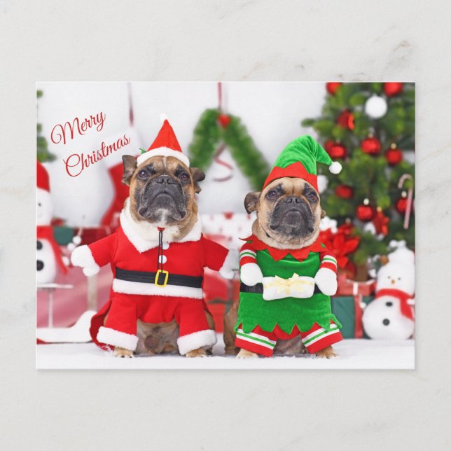 Frohe Weihnachten Französisch Bulldogs Santa and E (Vorderseite)
