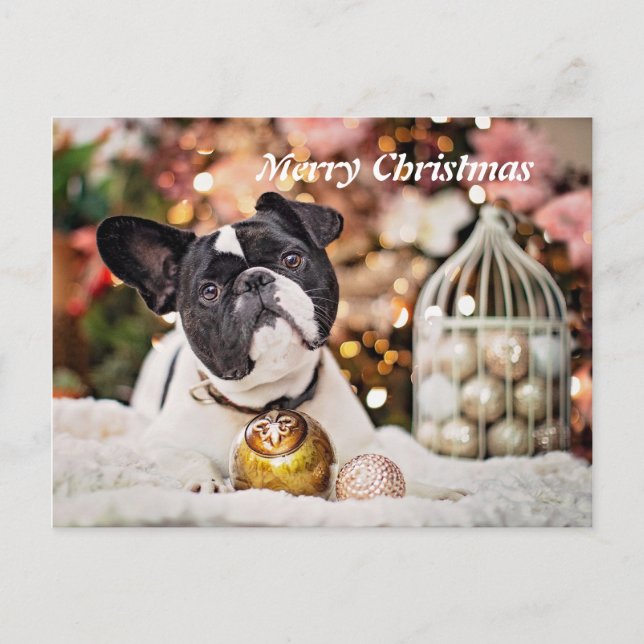 Frohe Weihnachten Französischer Bulldog (Vorderseite)