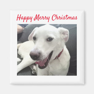 Frohe Weihnachten Funny lächelnd Dog Holiday Magnet