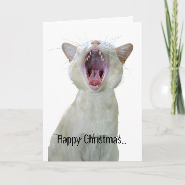 Frohe Weihnachten für alle coolen Katzen da drauße (Vorderseite)