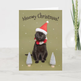 Frohe Weihnachten für jeden lustigen Katze in Weih