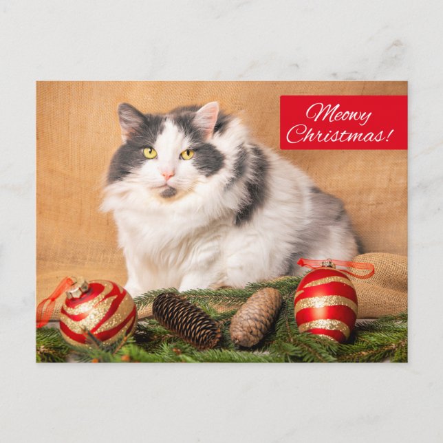Frohe Weihnachten für jeden Niedlichen Cat Spaß (Vorderseite)