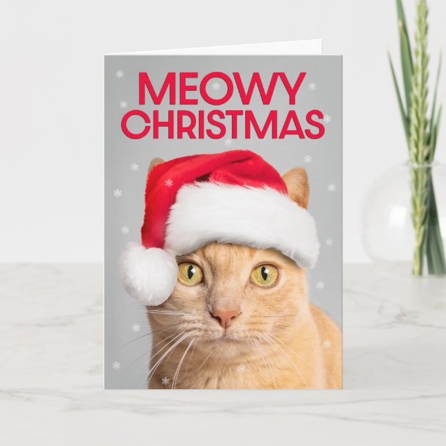 Frohe Weihnachten für jeden Niedlichen Orange Tabb (Vorderseite)