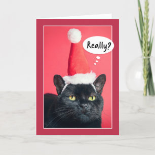 Frohe Weihnachten genervte Katze mit Santa-Mütze H