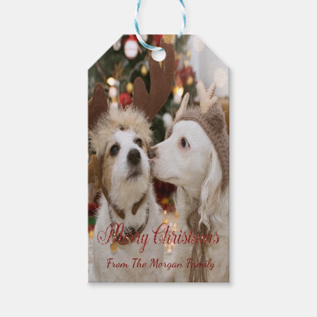 Frohe Weihnachten, Hunde in Liebe Geschenkanhänger (Vorderseite)