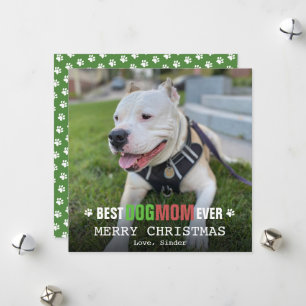 Frohe Weihnachten Hundemama vom Hund Foto Flach