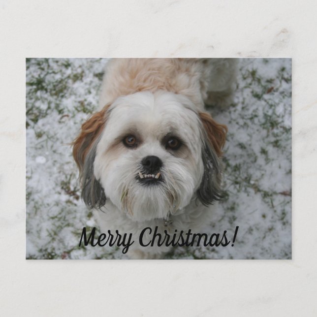 Frohe Weihnachten individuell anpassbare Postkarte (Vorderseite)