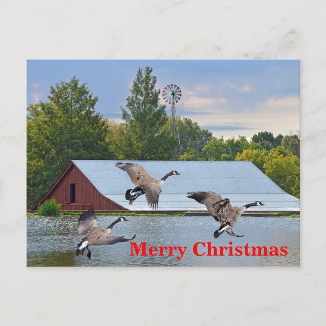 Frohe Weihnachten Kanada Gänse Landung auf dem Tei (Vorderseite)