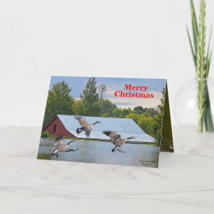 Frohe Weihnachten Kanada Gänse Landung auf dem Tei