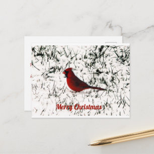 Frohe Weihnachten Kardinal Klappkarte Postkarte