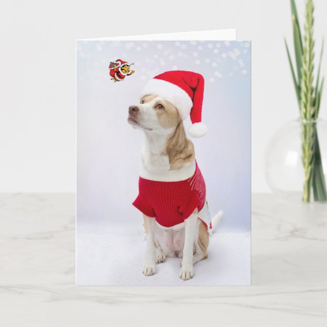 Frohe Weihnachten. Karte (Vorderseite)