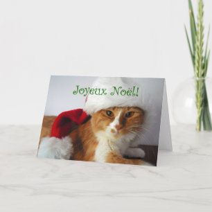 Frohe Weihnachten - Katze mit Weihnachtsmannmütze