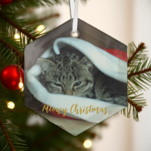 Frohe Weihnachten Katze Ornament Aus Glas