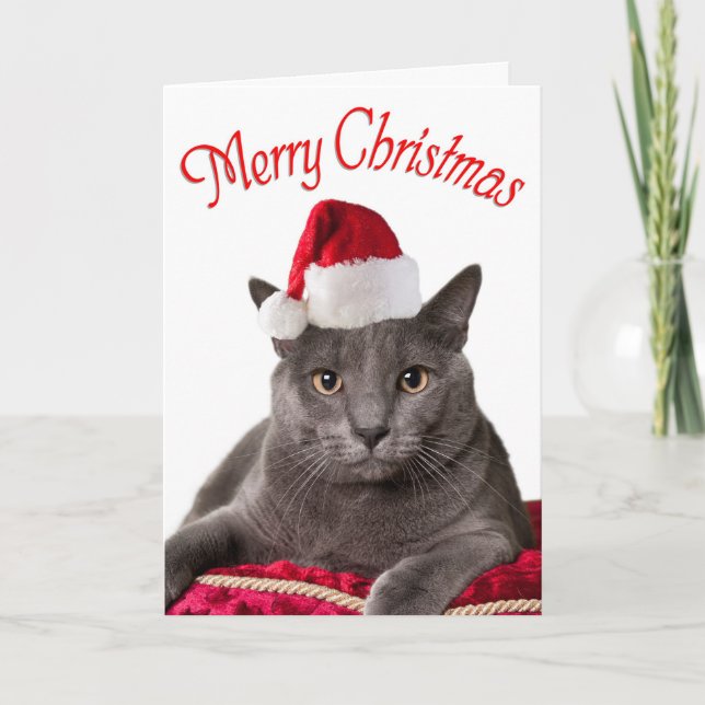 Frohe Weihnachten, Katze Weihnachtskarte Feiertagskarte (Vorderseite)