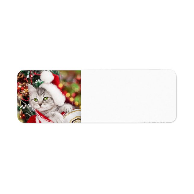 Frohe Weihnachten Kitten (Vorne)