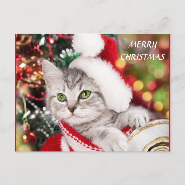 Frohe Weihnachten Kitten Postkarte (Vorderseite)