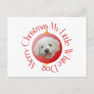 Frohe Weihnachten Kleiner Weißer Hund
