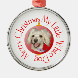 Frohe Weihnachten Kleiner Weißer Hund Pudel / Bich Silbernes Ornament