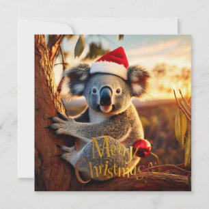 Frohe Weihnachten Koala sitzt in Gumtree Karte