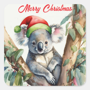 Frohe Weihnachten Koala sitzt in Gumtree Quadratischer Aufkleber