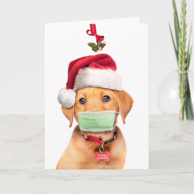 Frohe Weihnachten Labrador Welpe in Gesicht Maske  (Vorderseite)