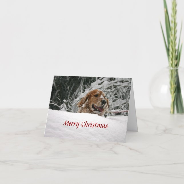 Frohe Weihnachten - lassen Sie sie schneien (Vorderseite)