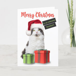 Frohe Weihnachten Lehrer Süße Katze Mit Geschenken