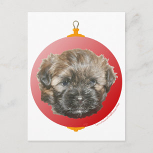 Frohe Weihnachten lieber kleiner geretteter Hund