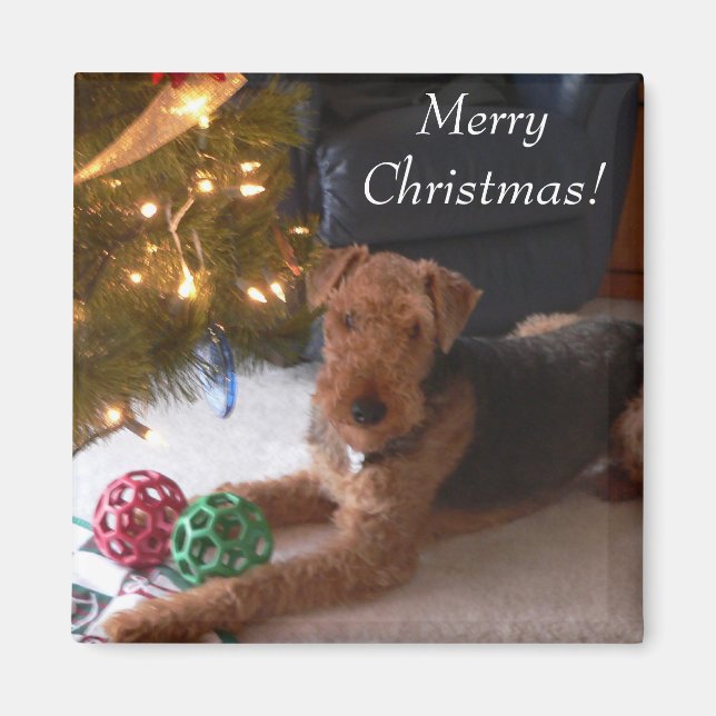 Frohe Weihnachten! Magnet (Vorne)