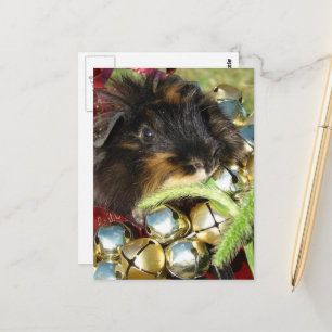 Frohe Weihnachten Meerschweinchen Postkarte