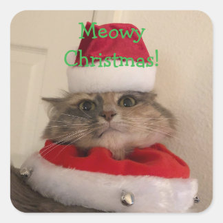 Frohe Weihnachten Miezekatz Quadratischer Aufkleber