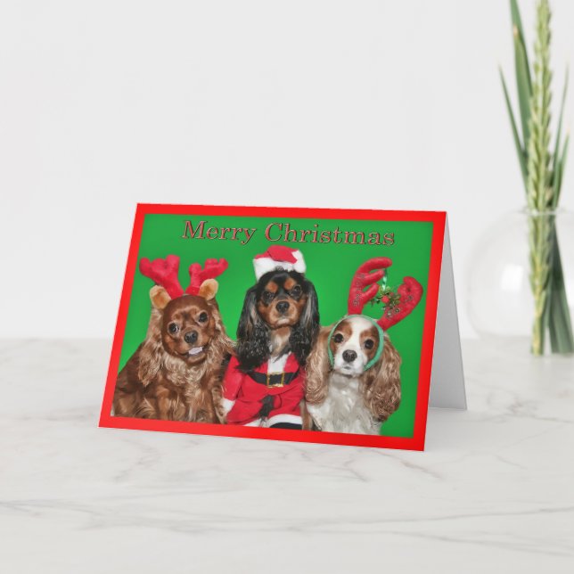 Frohe Weihnachten mit drei King Charles Spaniels (Vorderseite)