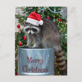 Frohe Weihnachten mit Raccoon Santa Scene