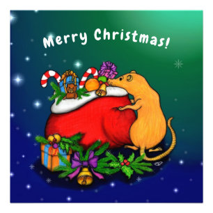 Frohe Weihnachten mit Rat Prince Fotodruck