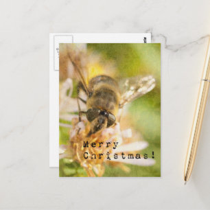 Frohe Weihnachten Motte auf Blüte Postkarte