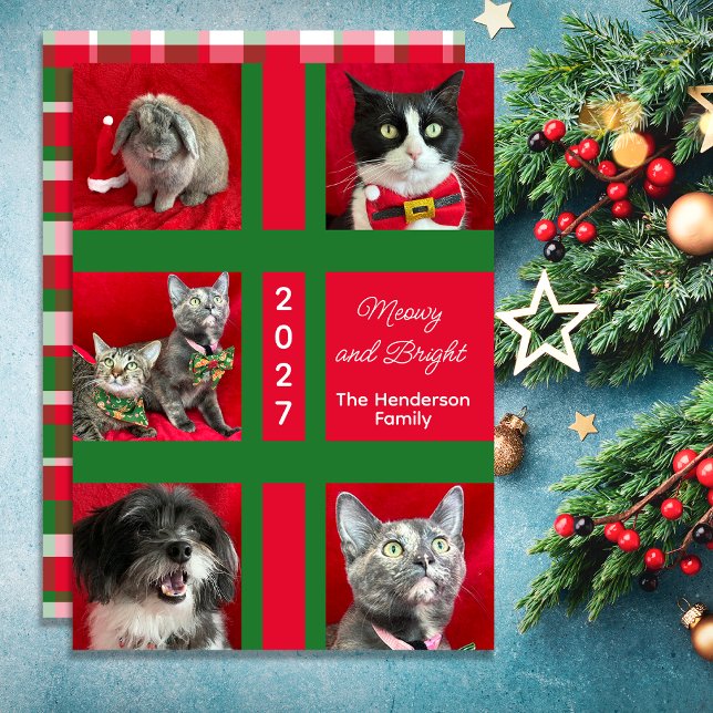 Frohe Weihnachten Multi Five Katzenfoto (Von Creator hochgeladen)