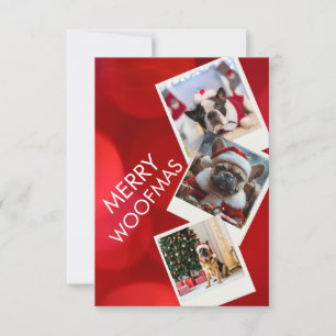 Frohe Weihnachten Multi-Foto Hunde-Weihnachtskarte Einladung