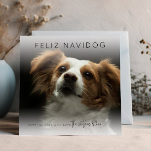 Frohe Weihnachten Navidog Foto Weihnachten