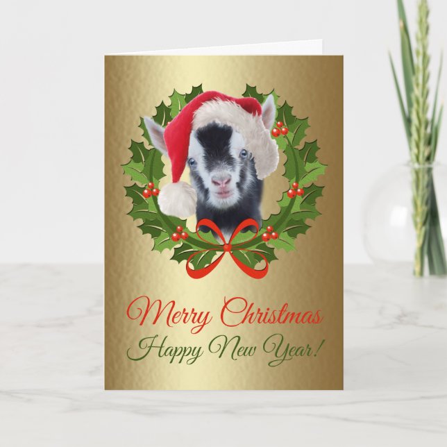 Frohe Weihnachten Neugeborene nigerianische Ziege  (Vorderseite)