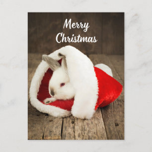 Frohe Weihnachten Niedlich Bunny in der Weihnachts Postkarte
