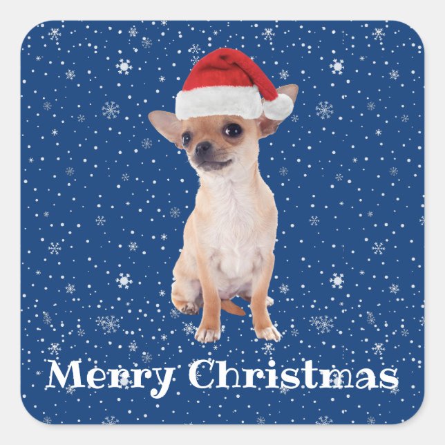 Frohe Weihnachten Niedlich Chihuahua Santa 2 Quadratischer Aufkleber (Vorderseite)