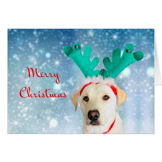 Frohe Weihnachten Niedlich Hunde Hund Labrador mit (Vorderseite (Horizontal))