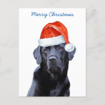 Frohe Weihnachten Niedlich Santa Dog Labrador