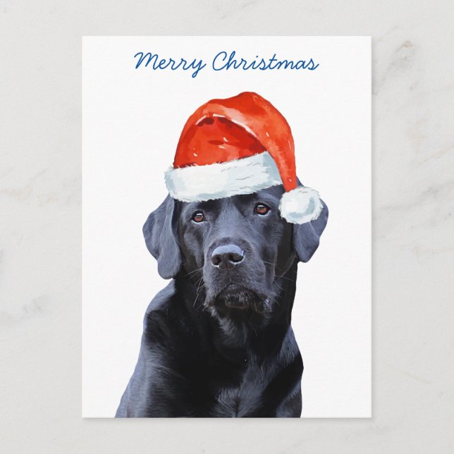 Frohe Weihnachten Niedlich Santa Dog Labrador (Vorderseite)